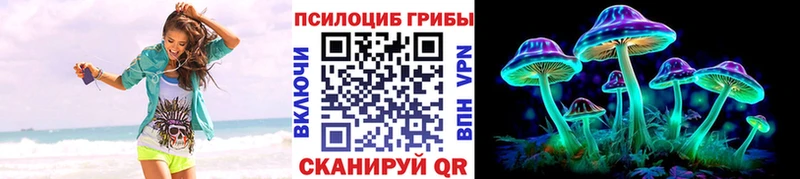 Купить Горнозаводск Псилоцибиновые грибы Magic Shrooms